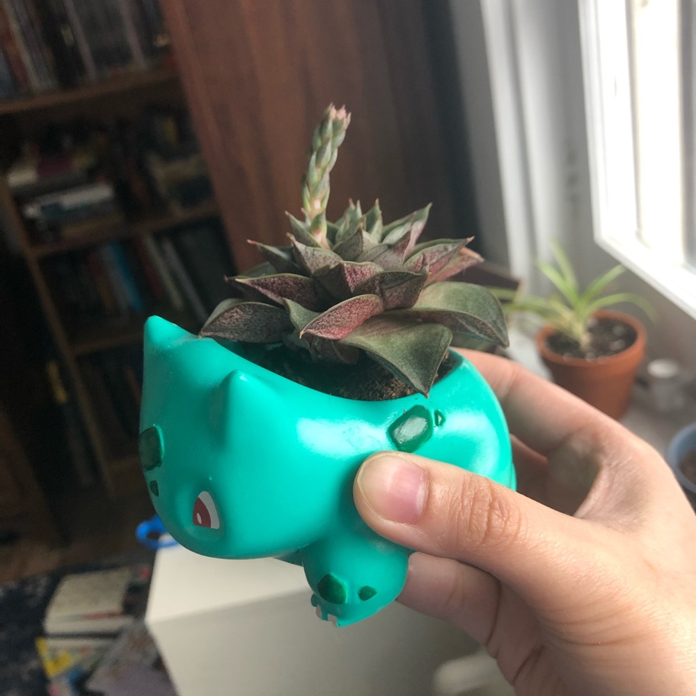 Meet your Posher, Tina